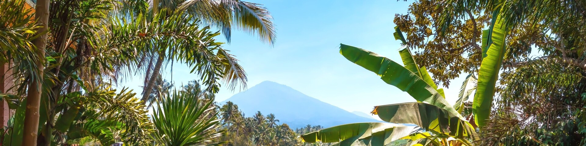 Mount Batukaru viewed from Rice Fields near Pupuan, Bali, Indonesia