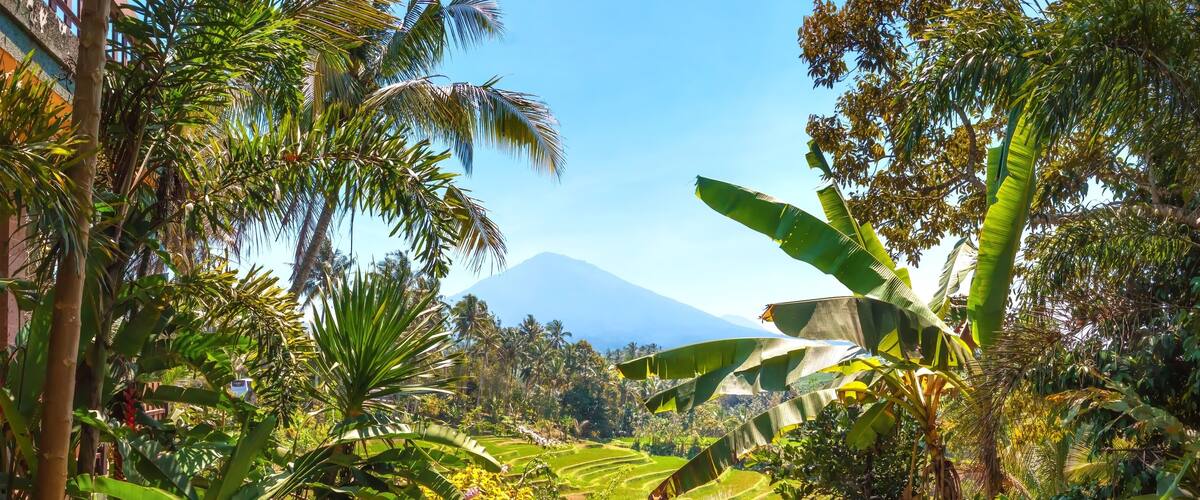 A lush landscape with a mountain in the background, surrounded by dense tropical vegetation and terraced fields.