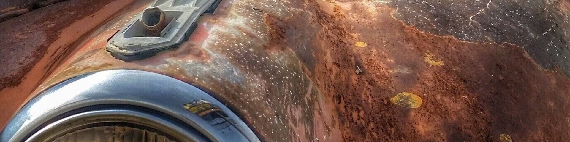 On highway 93 a few miles before the Chloride turnoff, you'll find an abandoned junk yard full of amazing automobiles. As much as I loved looking at all the cars, what really caught my eye amongst all this automobile decay, were what looked like gourds and watermelon growing across the ground. Life always finds a way.