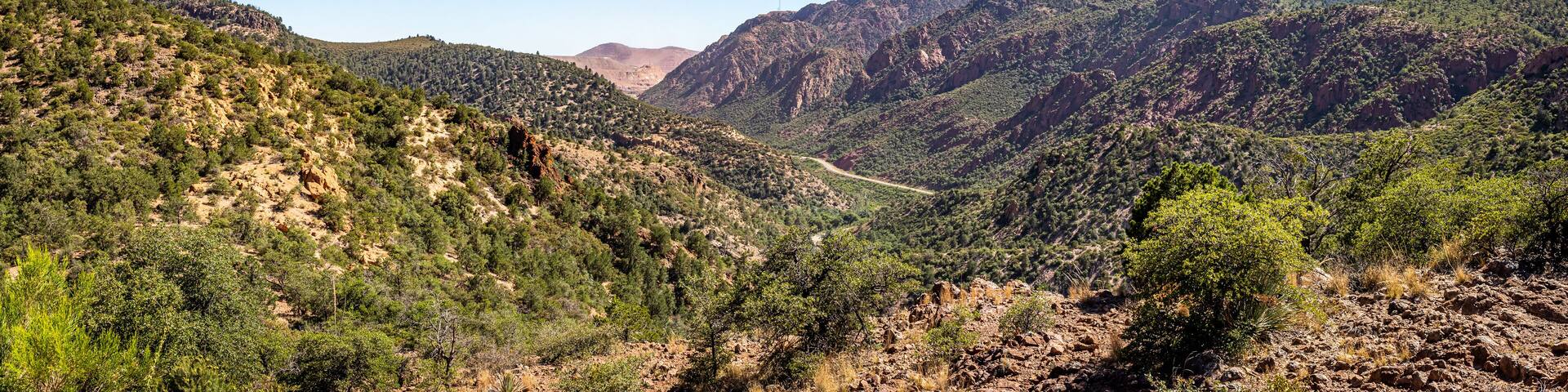 Coronado Trail Scenic Byway View