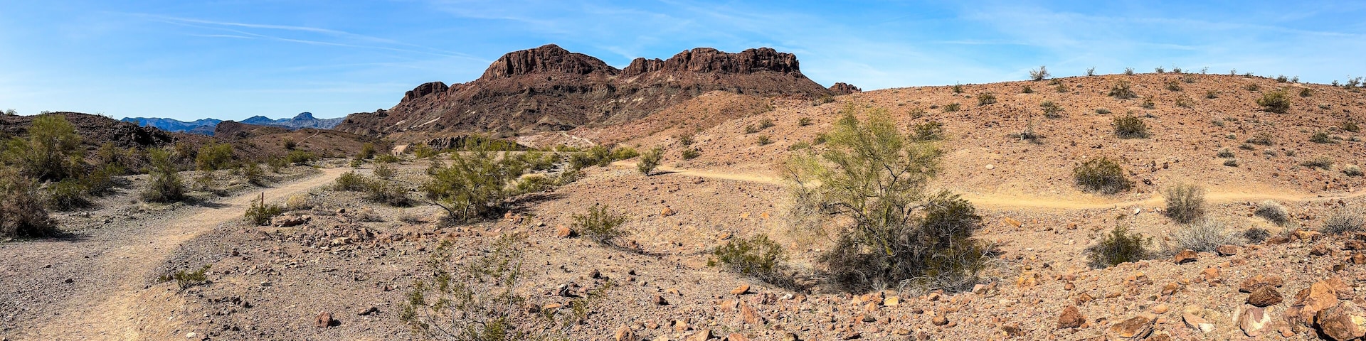 Desert landscape on lizard peak of sara park trail close to lake havasu arizona