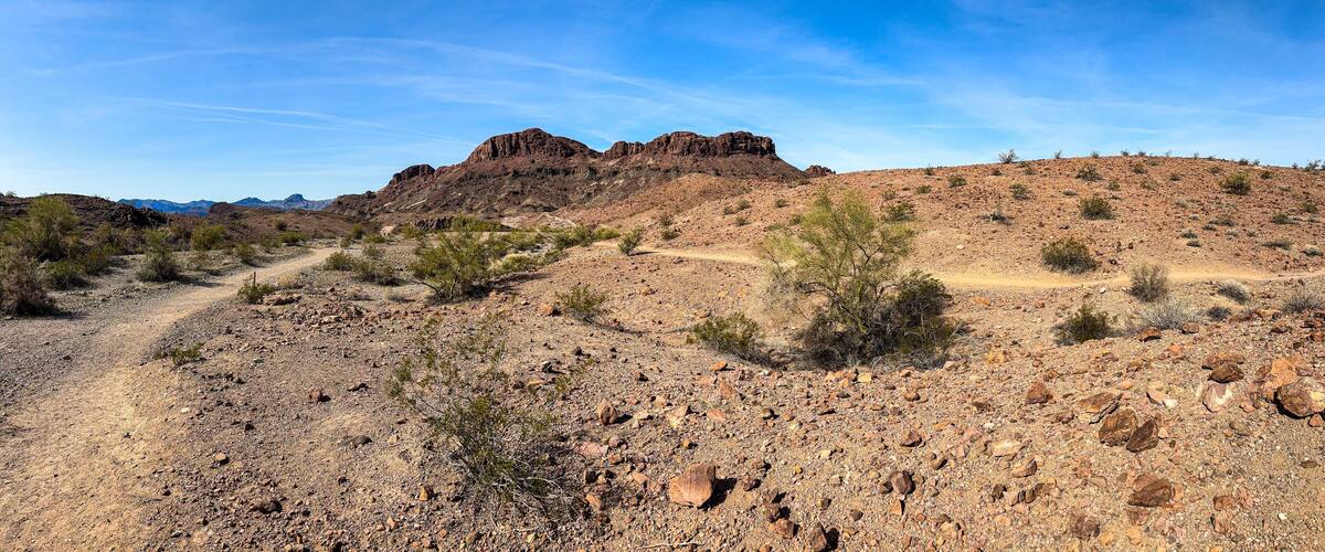 A desert landscape with rocky terrain, sparse vegetation, and distant mountains under a clear blue sky.