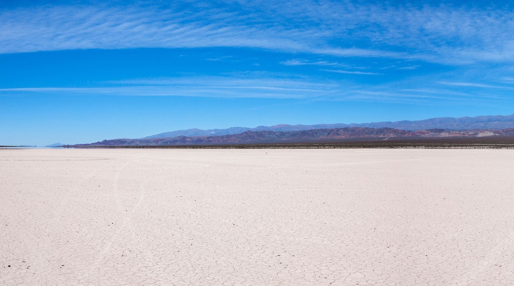 Land with dry and cracked ground. Pampa of El Leoncito