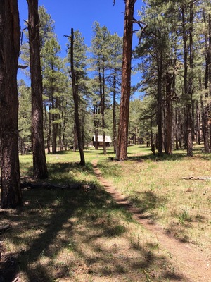 Cabin Loop Trail to Houston Brother's Trail