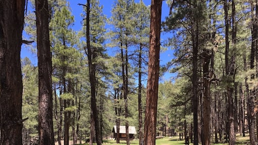 Cabin Loop Trail to Houston Brother's Trail