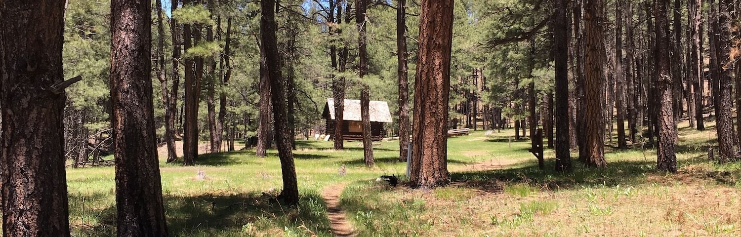 Cabin Loop Trail to Houston Brother's Trail