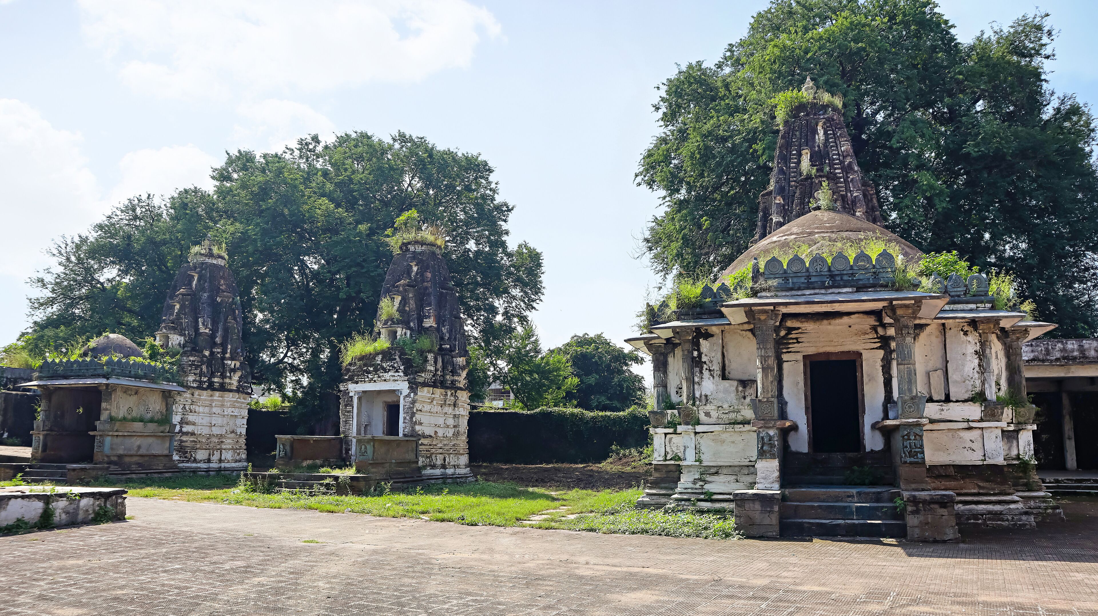 Ancient stone structures with intricate carvings, surrounded by lush greenery and trees.