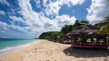 Beach fale's on a white sand beach on Lalomanu, Samoa