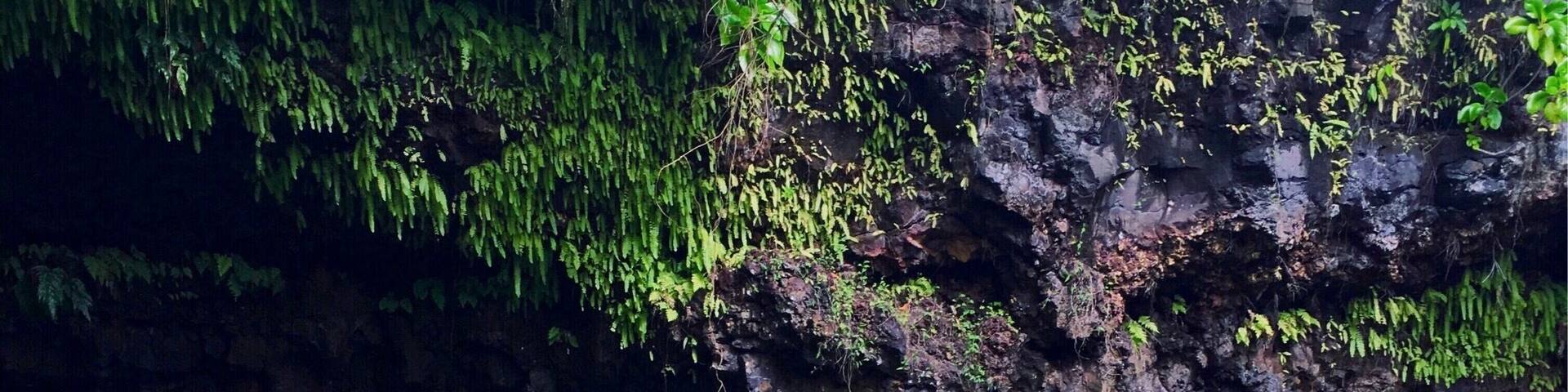 An absolute dream ✨ To Sua ocean trench is one of the most beautiful places I have ever been. Samoa is filled with the friendliest people and some of the most beautiful beaches! #samoa #tosua #oceantrench #blue