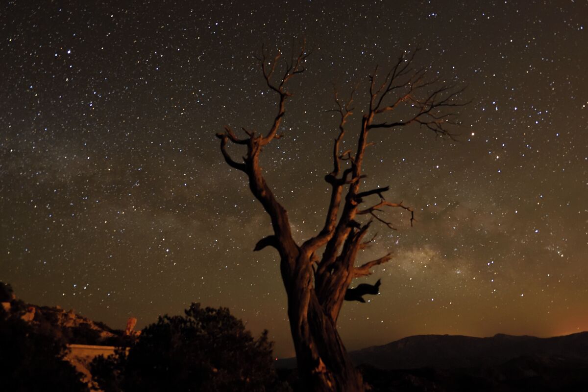 On the way up to the sky gazing program we spotted a bristlecone pine tree around 6000 feet up the side of the mountain. After the sky gazing program we went down and waited until the Milky Way came up around 2 am and this was the result. The sky was incredible after the moon set.