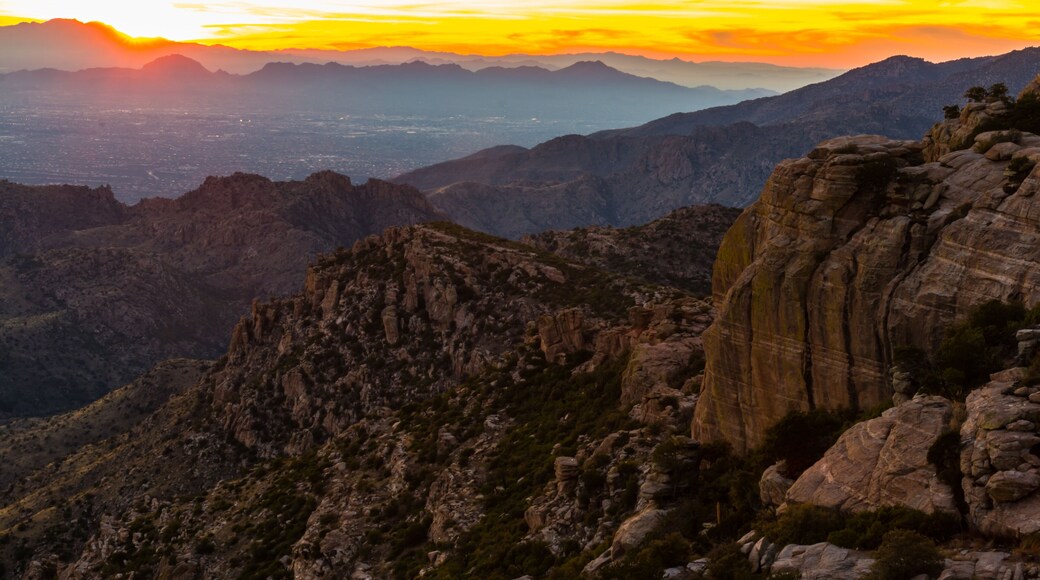 Mount Lemmon