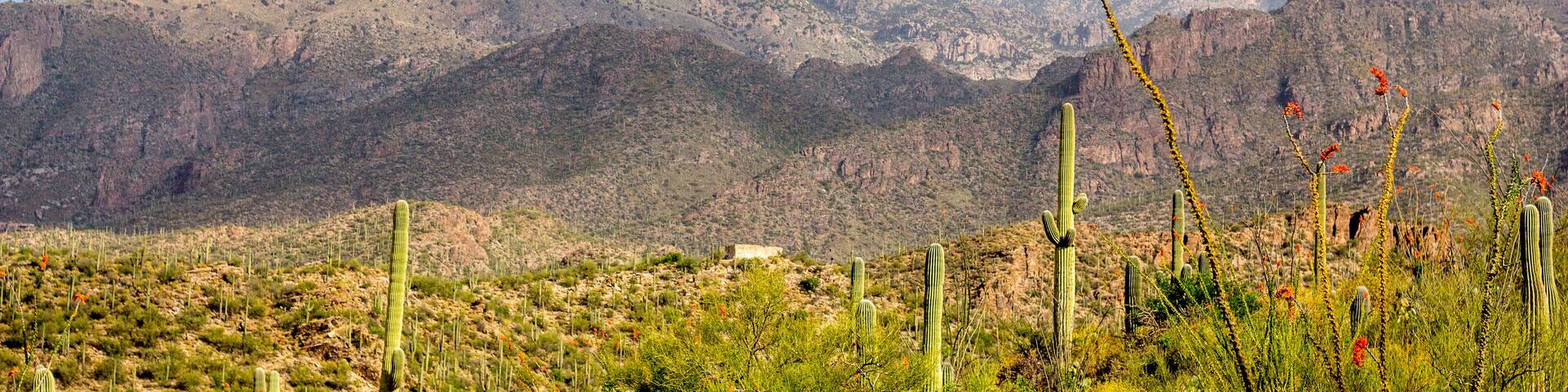 Mount Lemmon; Shutterstock ID 639252151