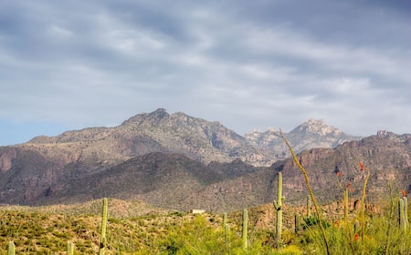 $29 Cheap Flights to Mount Lemmon, AZ Expedia