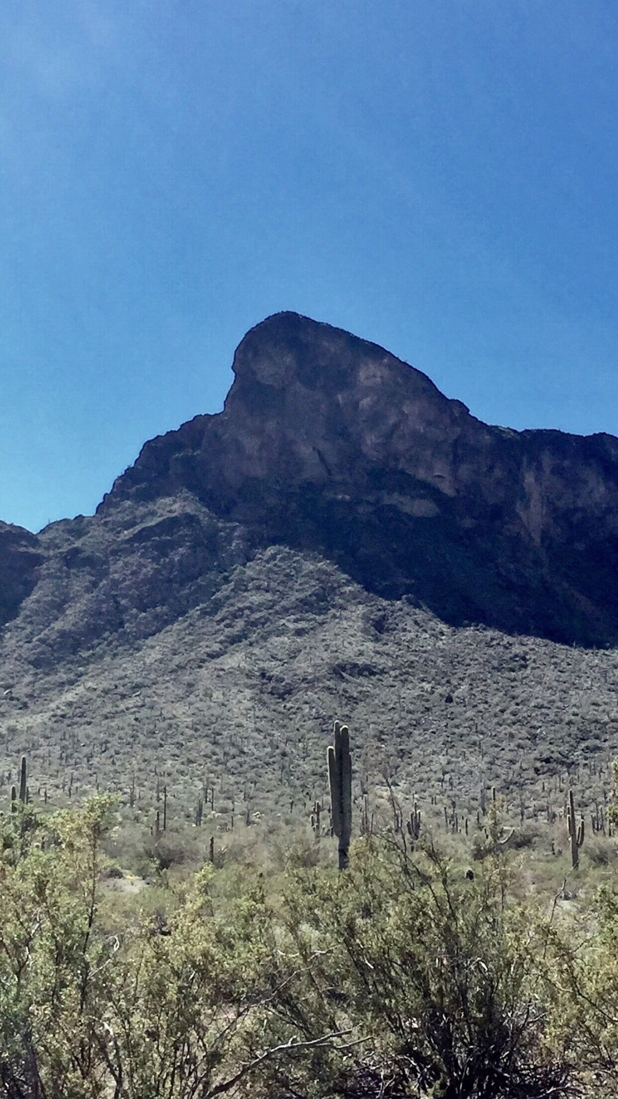 This is the view of Picacho Peak just of the I-10 freeway near Tucson, Arizona 