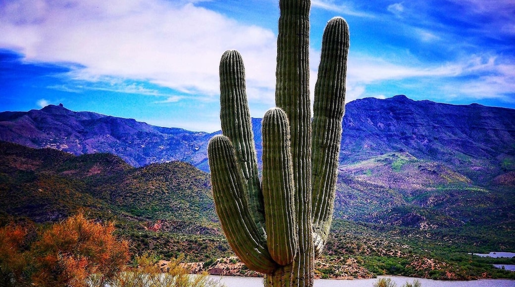 #green #azismyhome #spring #lakelife #enjoy