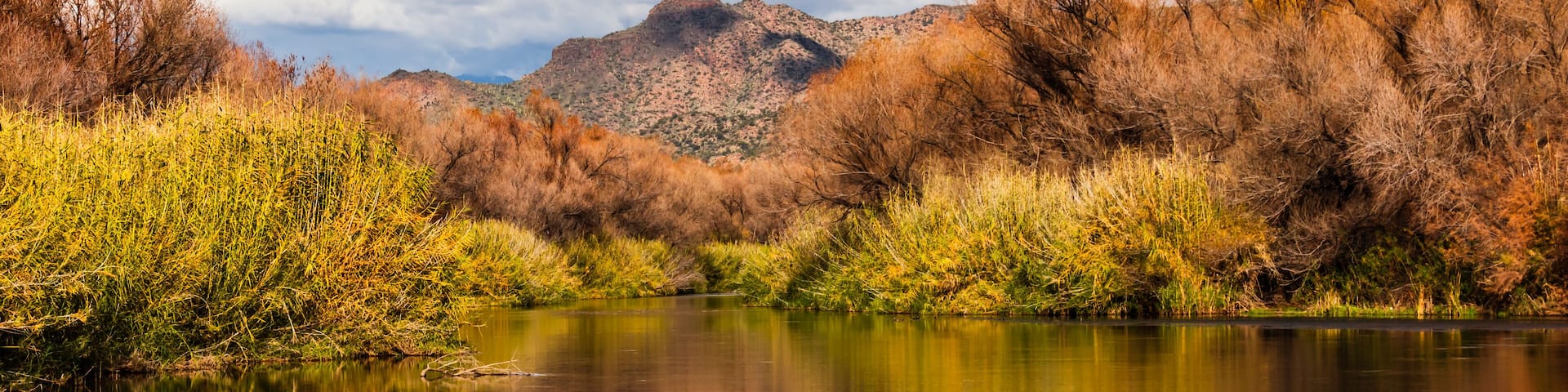 Verde River in the Fall