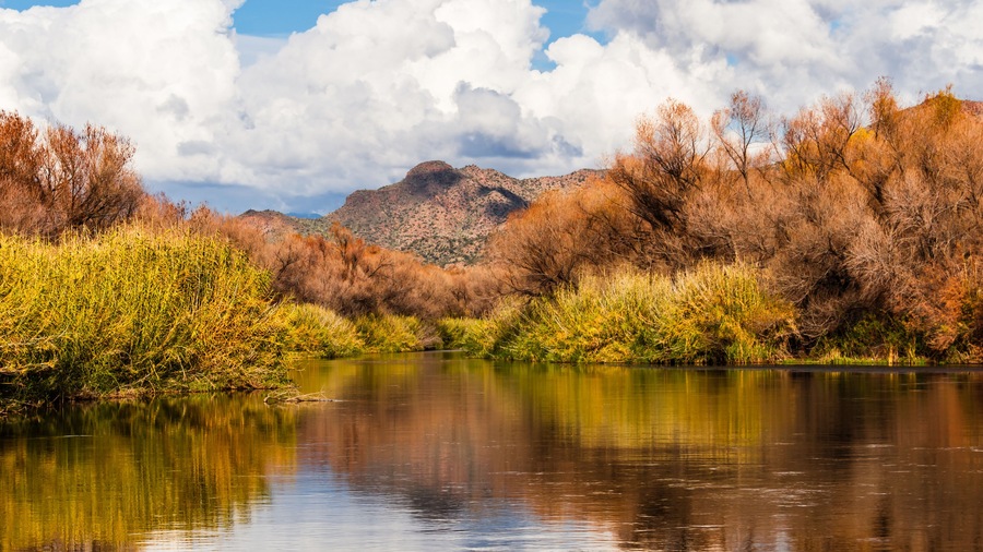 A calm river with autumn foliage and a mountain in the background.
