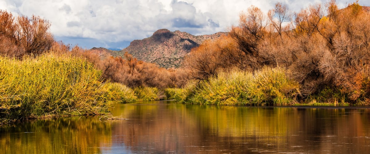 A calm river with autumn foliage and a mountain in the background.