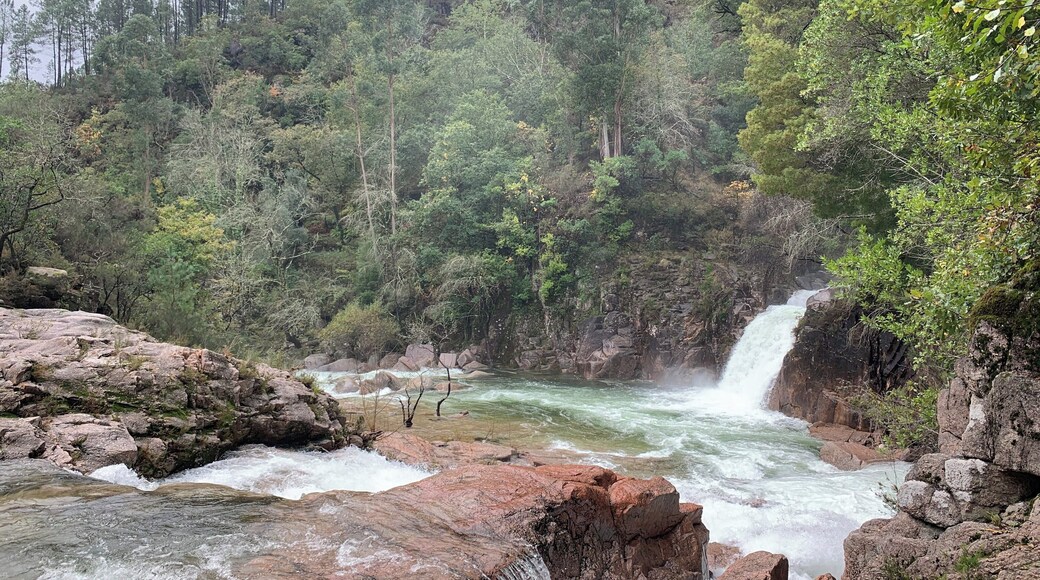 This beautiful waterfall is in Peneda-Gerês National Park. The good thing about all the rain on this trip is that the waterfalls and rivers are overflowing. This park is intensely beautiful and has lots of trails to hike. I look forward to another visit in the future.
#nationalparks #waterfalls #hiking #outdoors #green #Portugal