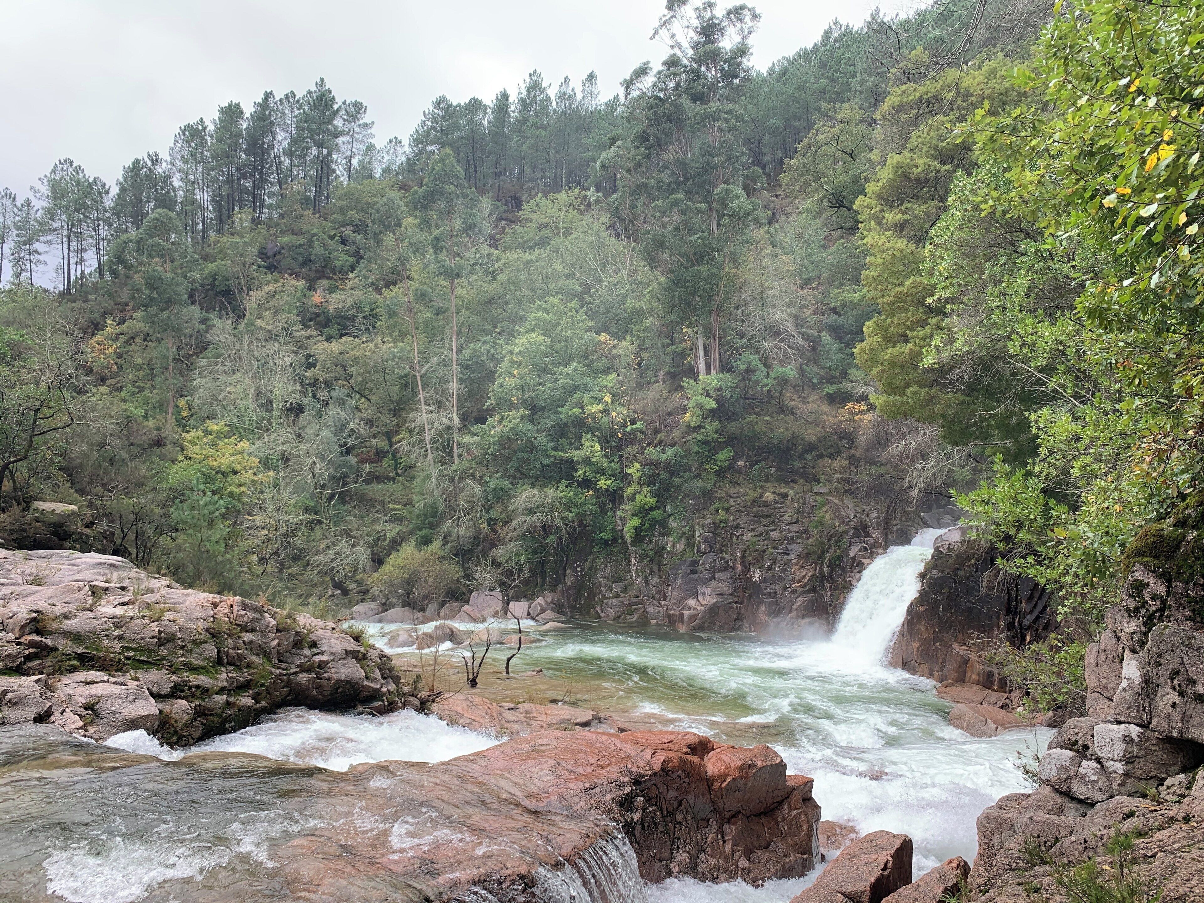 A river flowing through a forested area with a waterfall.