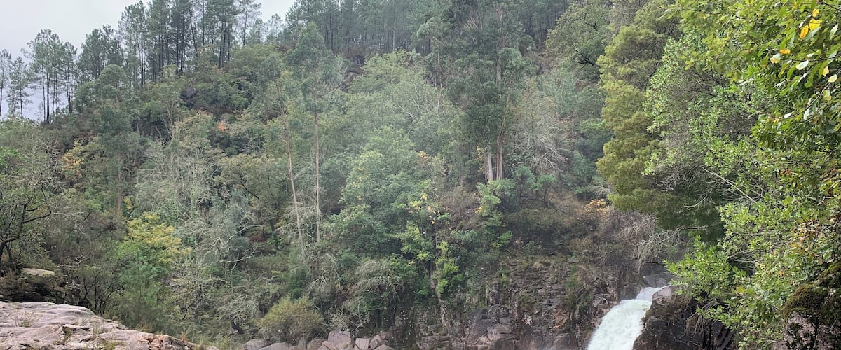 A river flowing through a forested area with a waterfall.