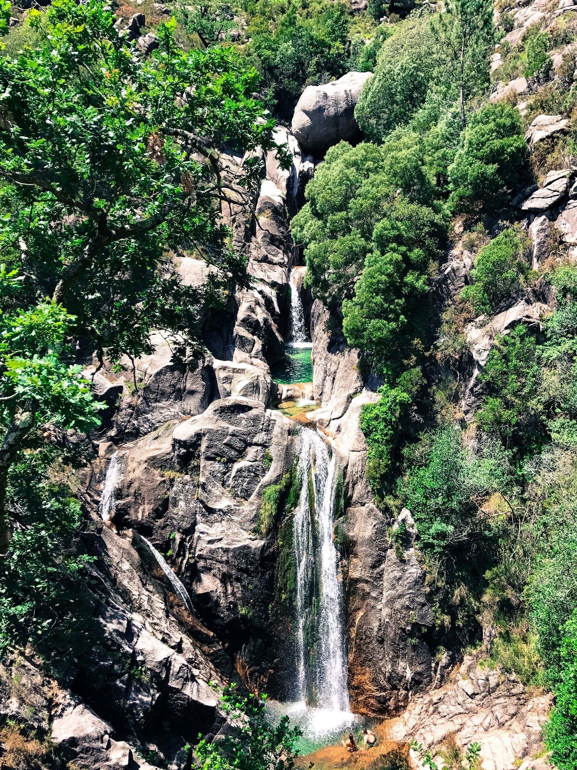 Ein Wasserfall stürzt über eine steile, felsige Klippe, umgeben von dichtem Grün.