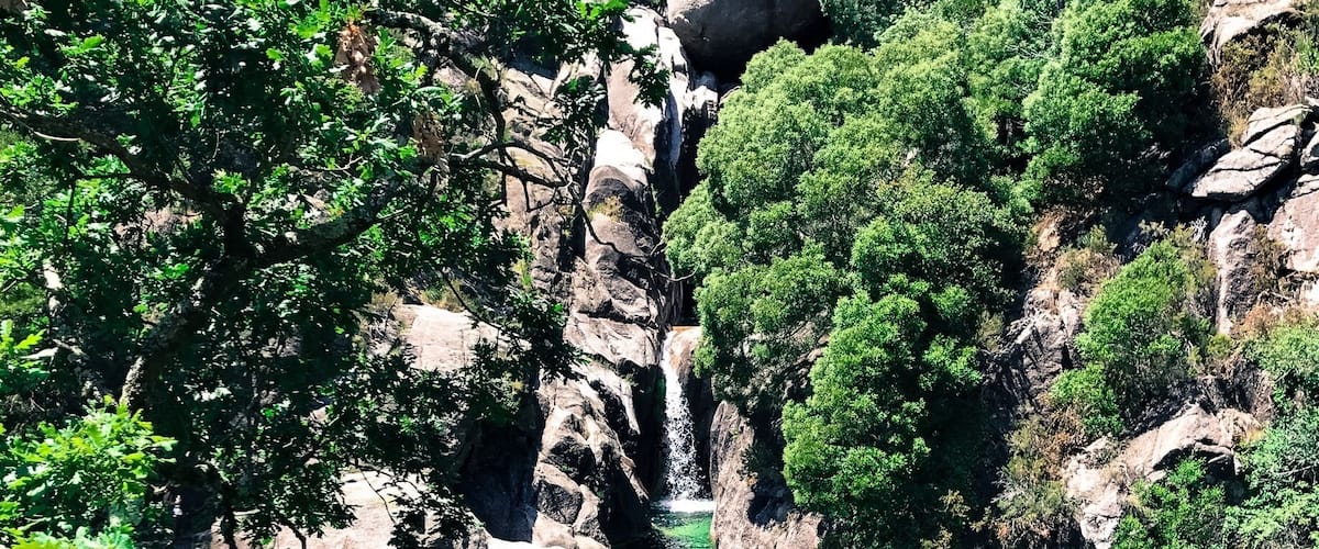 Ein Wasserfall stürzt über eine steile, felsige Klippe, umgeben von dichtem Grün.