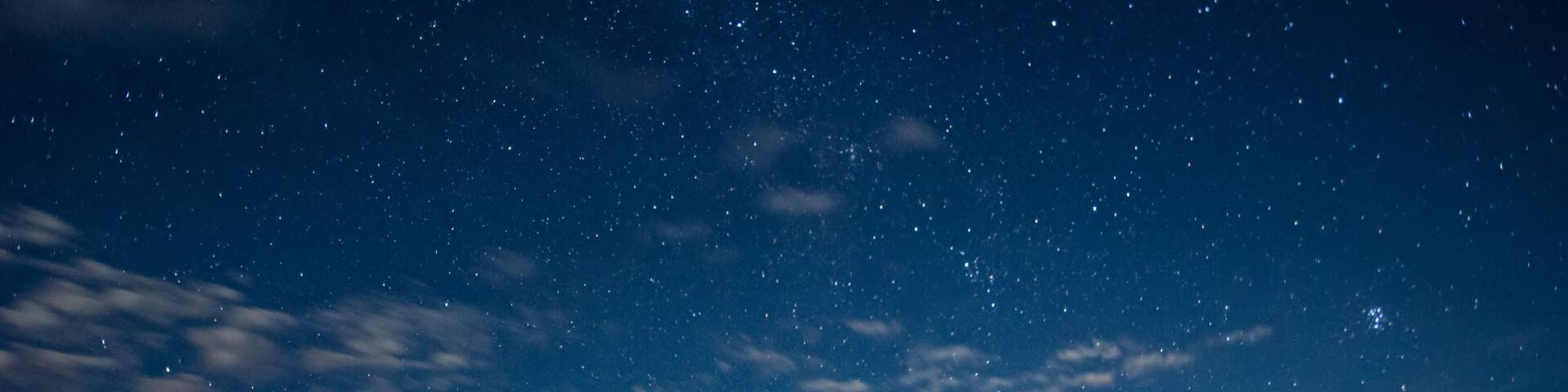 Mesquite grasslands under a starry night sky