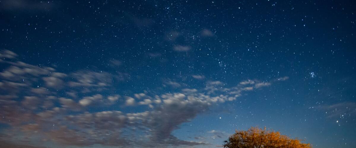 A starry night sky over a dry landscape with a prominent tree.