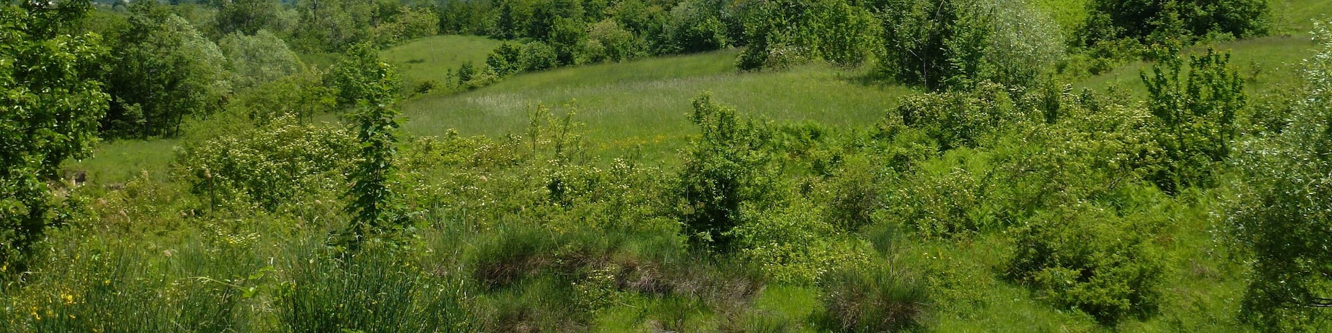 La Maiella vista dal versante ovest