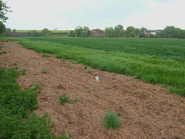 South Elford Looking across the fields between Elford and Elfordlow.