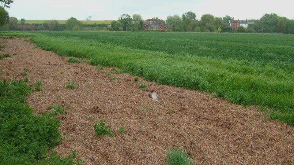 South Elford Looking across the fields between Elford and Elfordlow.