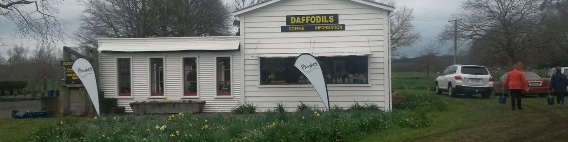 Un pequeño edificio blanco con un letrero que dice "DAFFODILS COFFEE INFORMATION".