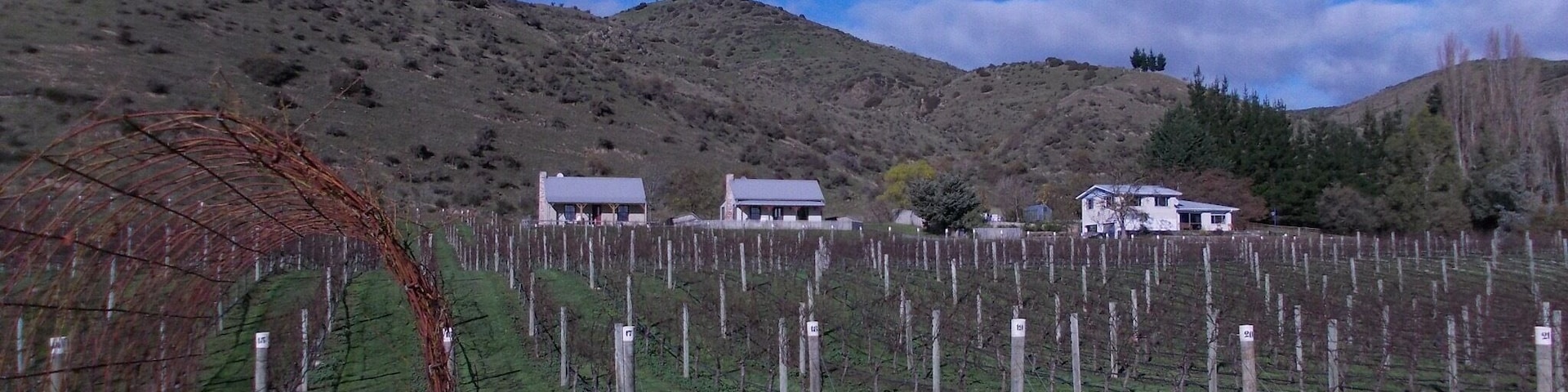 Still this winery/ restaurant place. I went in May so not much growing up!