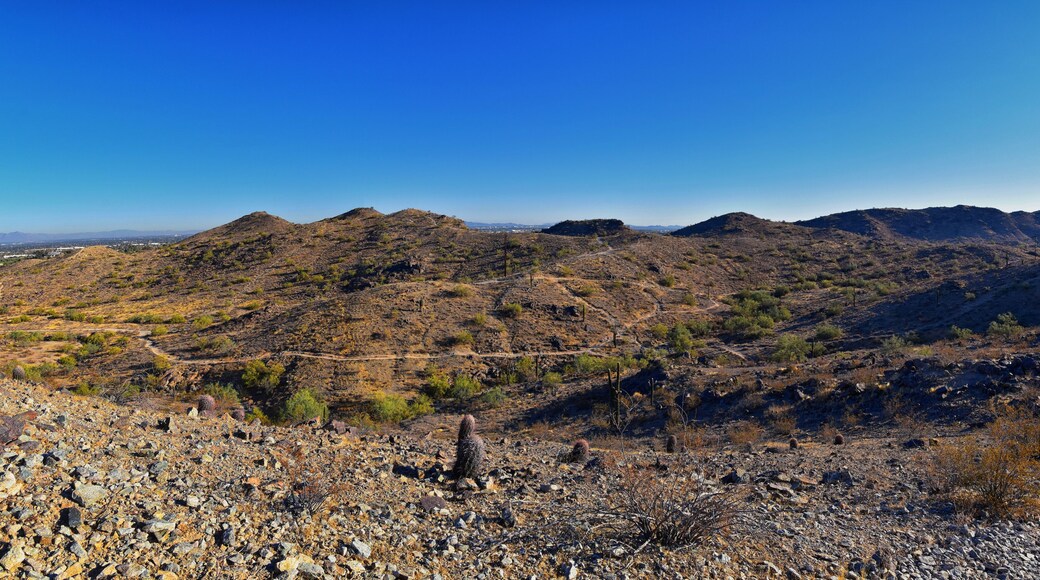 South Mountain Park and Preserve Views from Pima Canyon Hiking Trail, Phoenix, Southern Arizona desert. United States.