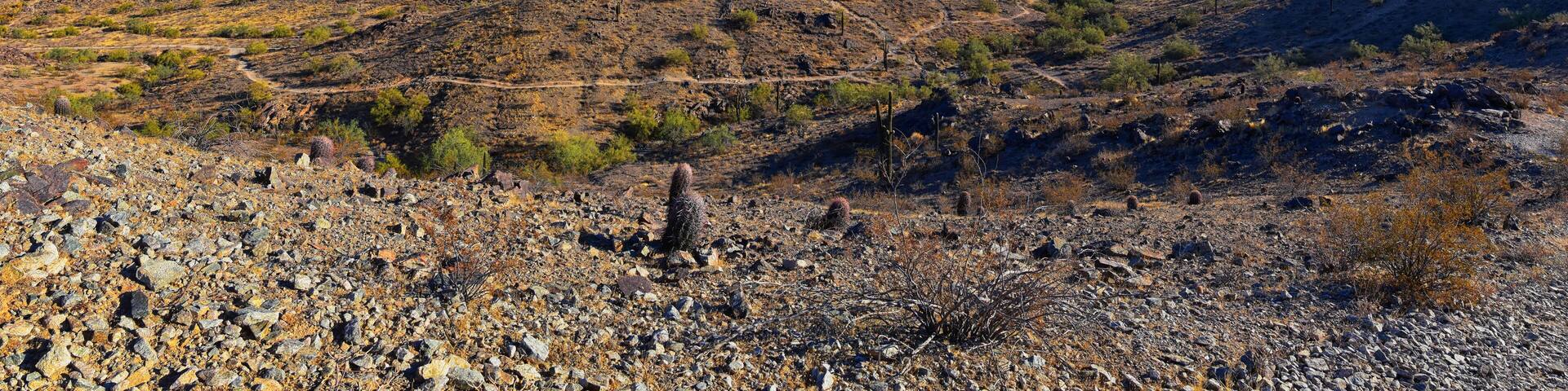 South Mountain Park and Preserve Views from Pima Canyon Hiking Trail, Phoenix, Southern Arizona desert. United States.