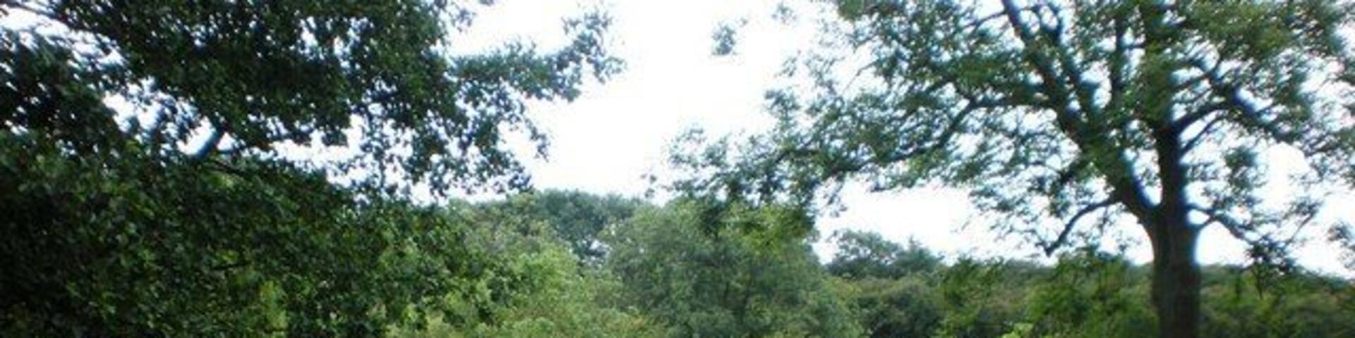 Minor road near Goodmanham, East Riding of Yorkshire, England. This shows the minor road leaving Goodmanham, passing over Mill Beck, and heading southeast before its junction with another minor road.