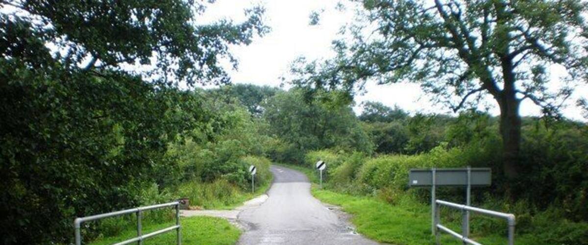 A wet road with metal railings on both sides, surrounded by greenery.