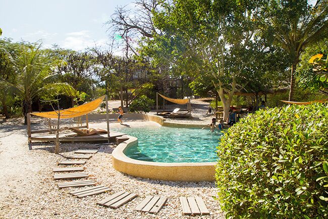 Uma piscina cercada por um deck de madeira, uma rede e vegetação exuberante.