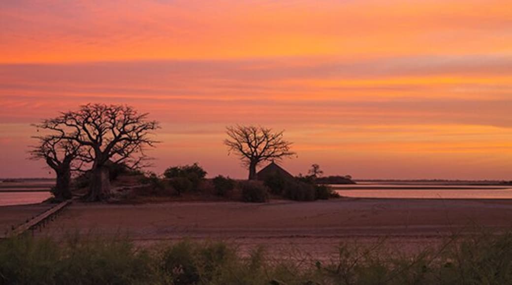 Sunrise at Lodge de Niassam, a eco lodge in paradise! You can live in 3 different cabins; hut on stilts in the lagune, a tree hut in a Baobab tree or a beautiful cabin on the ground.
Read more on: http://www.travelwithallsenses.com/lodge-de-niassam-eco-lodge-paradise/