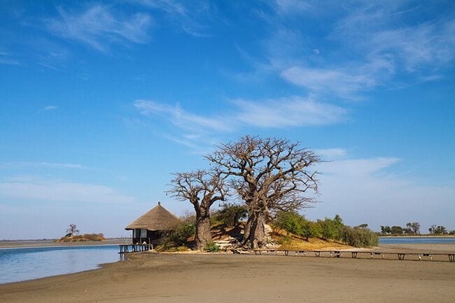 Una playa con una cabaña de techo de paja, un árbol grande sin hojas y una masa de agua tranquila.