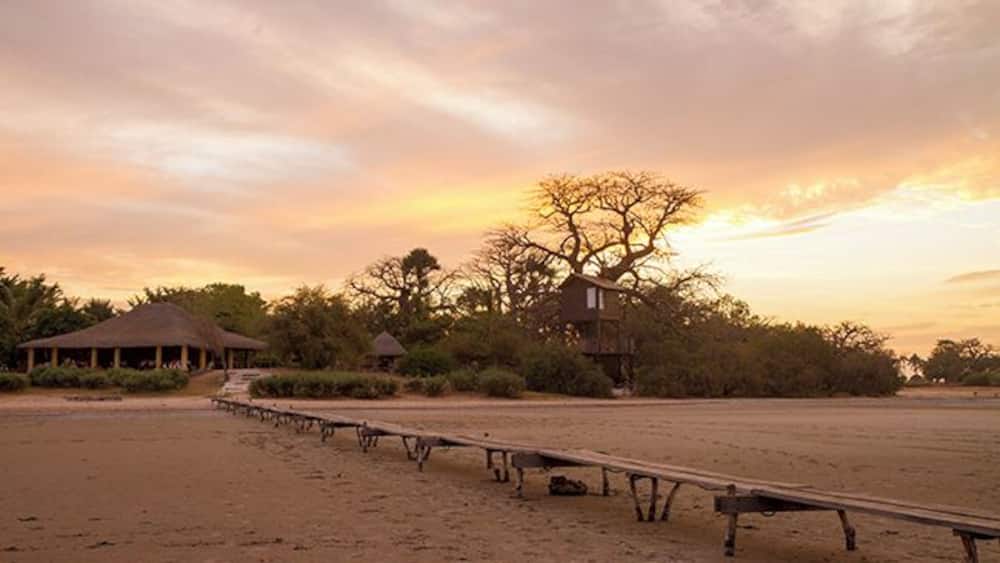 Lodge de Niassam is a eco lodge in paradise! You can live in 3 different cabins; hut on stilts in the lagune, a tree hut in a Baobab tree or a beautiful cabin on the ground. The restaurant building to the left.
Read more on: http://www.travelwithallsenses.com/lodge-de-niassam-eco-lodge-paradise/