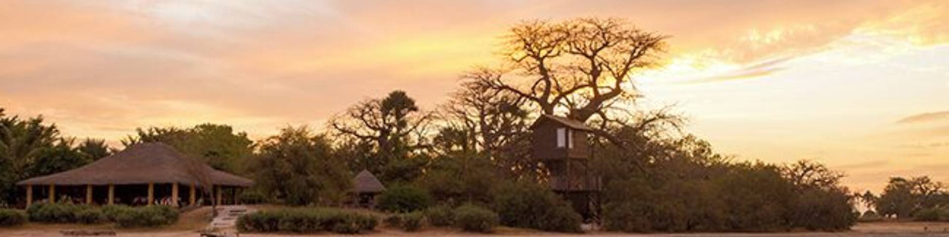 Lodge de Niassam is a eco lodge in paradise! You can live in 3 different cabins; hut on stilts in the lagune, a tree hut in a Baobab tree or a beautiful cabin on the ground. The restaurant building to the left.
Read more on: http://www.travelwithallsenses.com/lodge-de-niassam-eco-lodge-paradise/