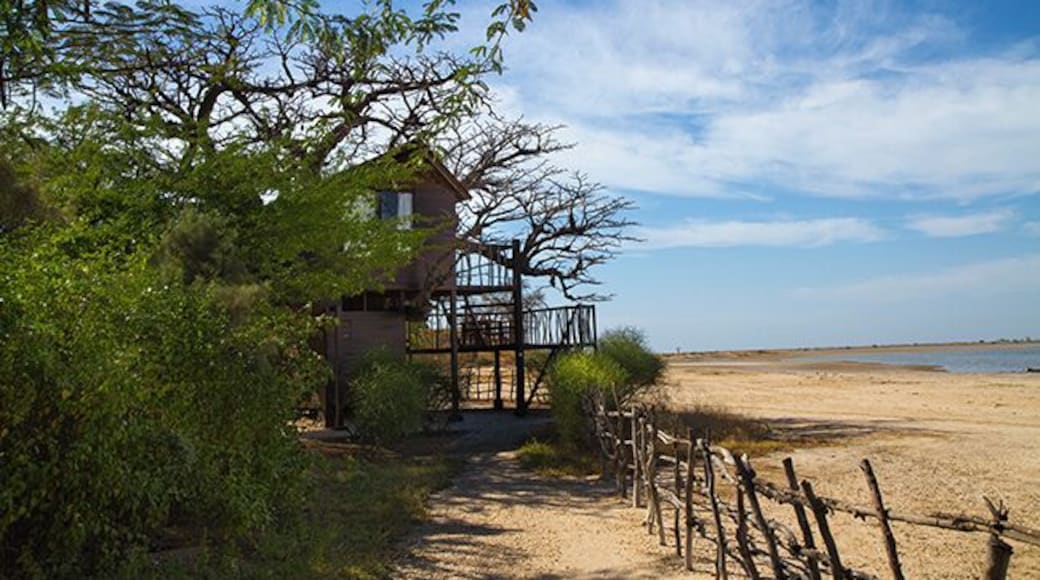 Lodge de Niassam is a eco lodge in paradise! You can live in 3 different cabins; hut on stilts in the lagune, a tree hut in a Baobab tree or a beautiful cabin on the ground.
Read more on: http://www.travelwithallsenses.com/lodge-de-niassam-eco-lodge-paradise/