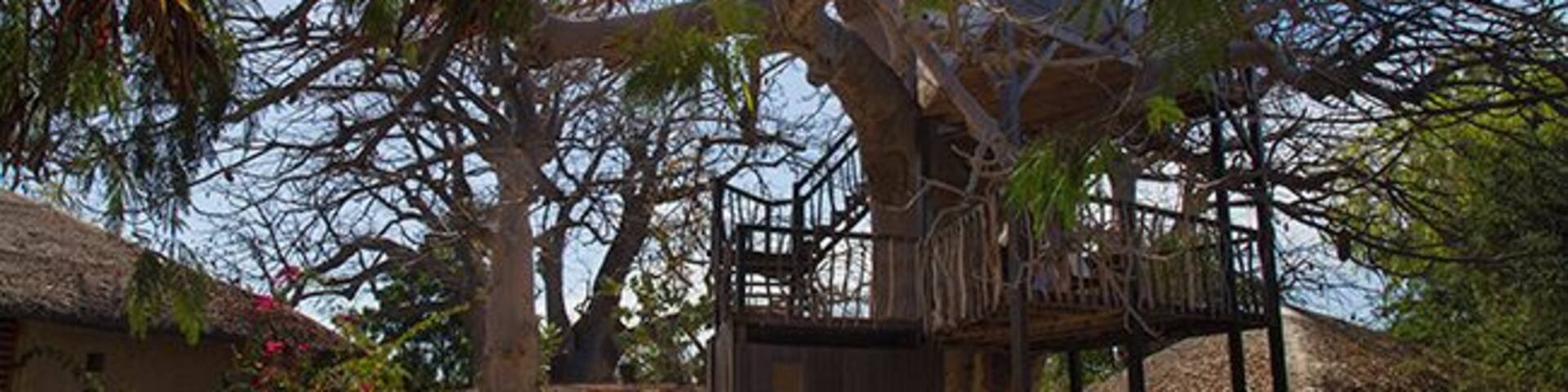 Lodge de Niassam is a eco lodge in paradise! You can live in 3 different cabins; hut on stilts in the lagune, a tree hut in a Baobab tree or a beautiful cabin on the ground.
Read more on: http://www.travelwithallsenses.com/lodge-de-niassam-eco-lodge-paradise/