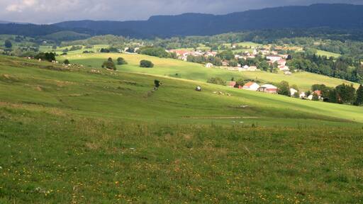 ๋กฑ์ผ๋ฌด์