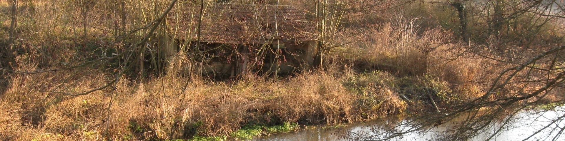 L'Aveyron à Montbouy, route de Gy, peu avant de se jeter dans le Loing.