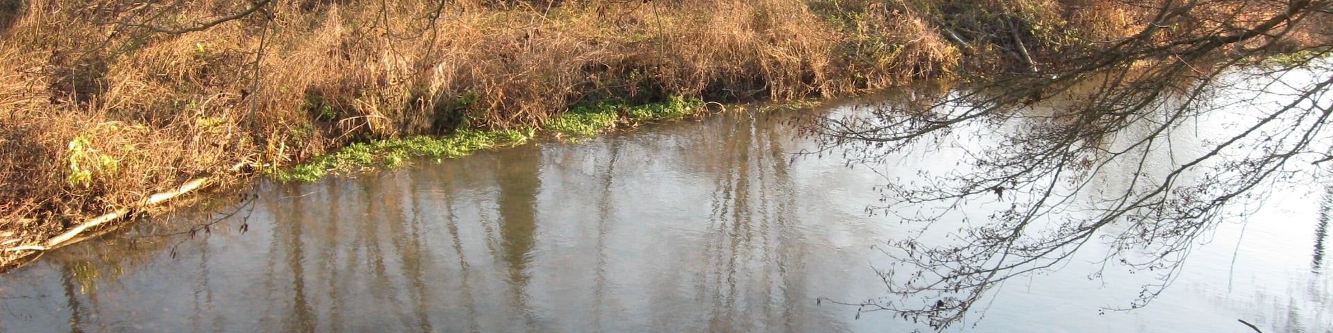 L'Aveyron à Montbouy, route de Gy, peu avant de se jeter dans le Loing.