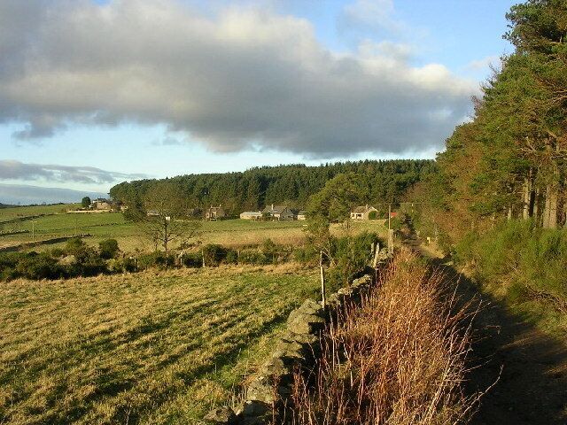 Looking towards Kingshill Wood.