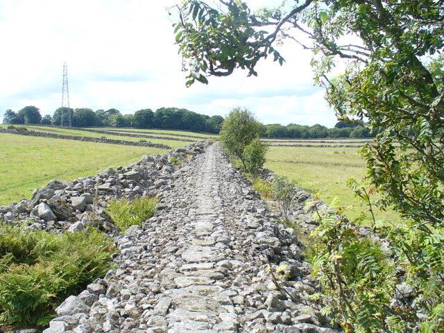 Consumption Dyke, Kingswells Long stone dyke, about 6 feet high and wide, made by "consuming" stones from the adjacent fields.